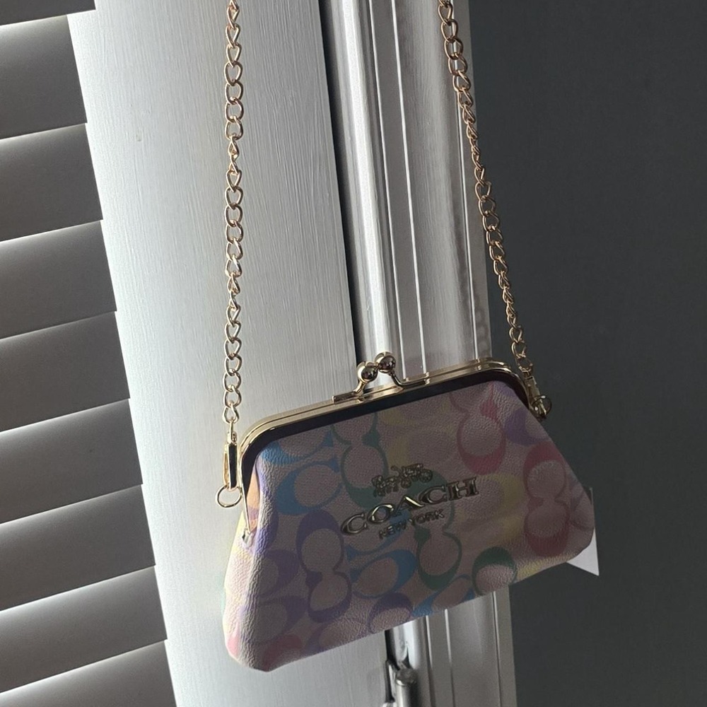 American Purse Modem Multi Colored Purse.